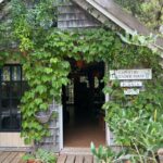 All Levels Walk – Explore Marceline Arboretum and Lavender Farm; Harwich, 2 miles, Tuesday! 🌾