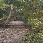 Beginner, Eddy Bay, Brewster, 1.5-2 miles, Monday