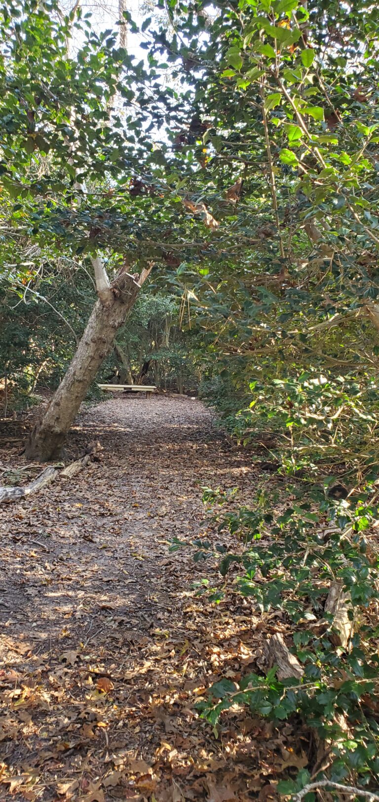 Beginner, Eddy Bay, Brewster, 1.5 miles- , Monday