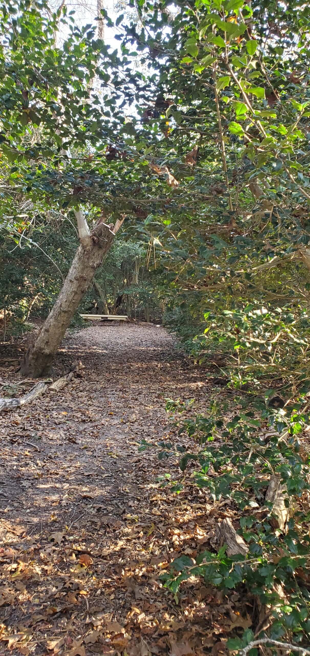 Beginner, Eddy Bay, Brewster, 1.5-2 miles, Monday