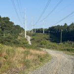 Advanced, Power Lines at West Barnstable Conservation, Marstons Mills, 4 miles, Thursday