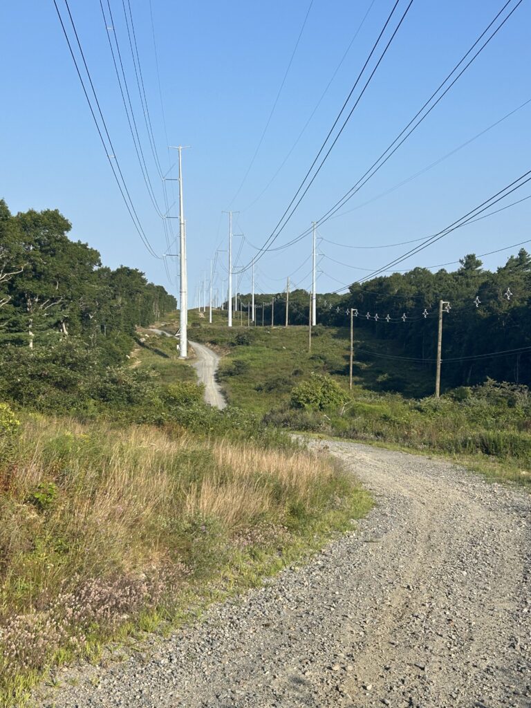 Advanced Power Lines West Barnstable Conservation, Marstons Mills, 4 miles, Friday