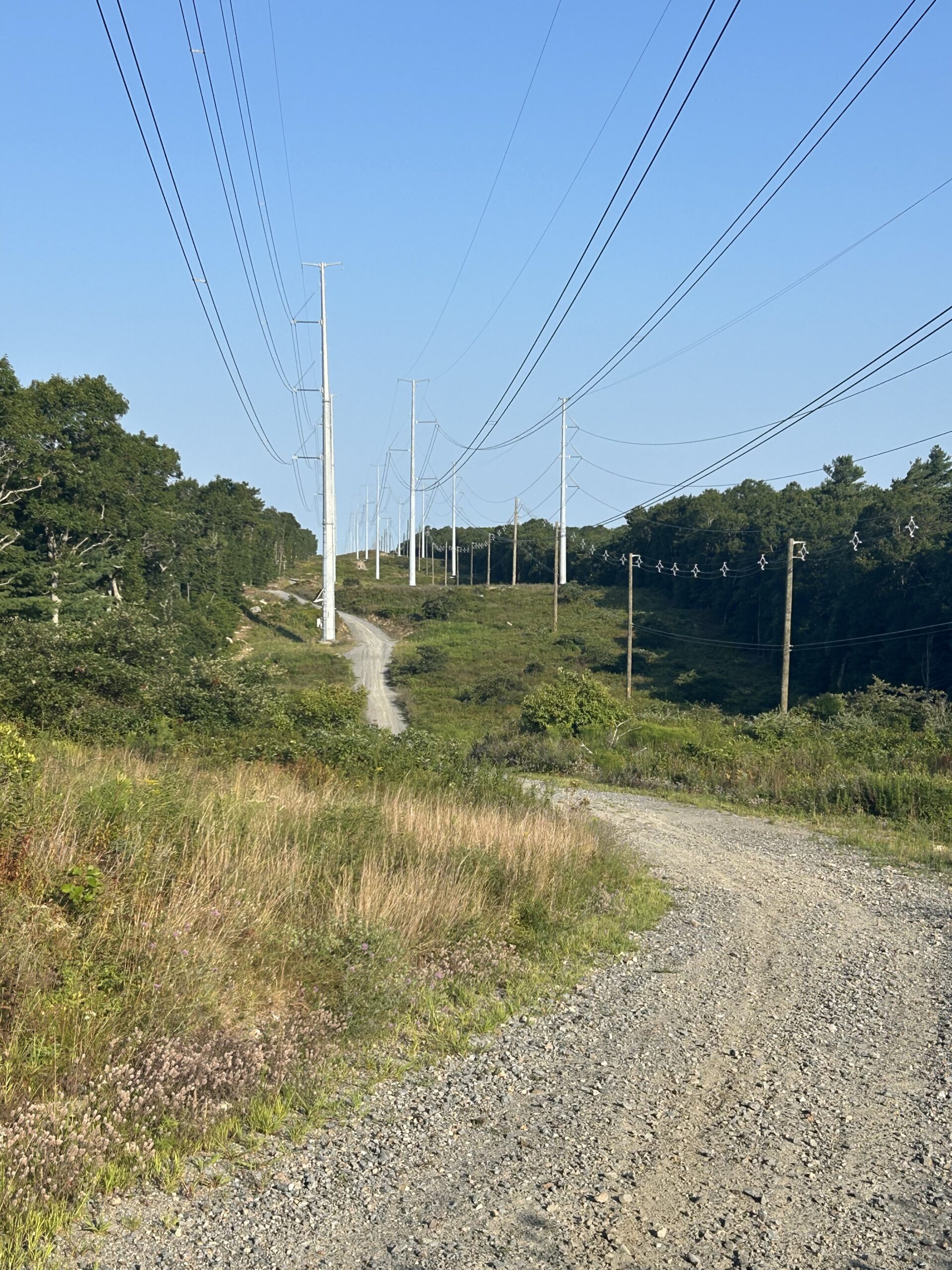 Advanced, Power Lines at West Barnstable Conservation, Marstons Mills, 4 miles, Thursday
