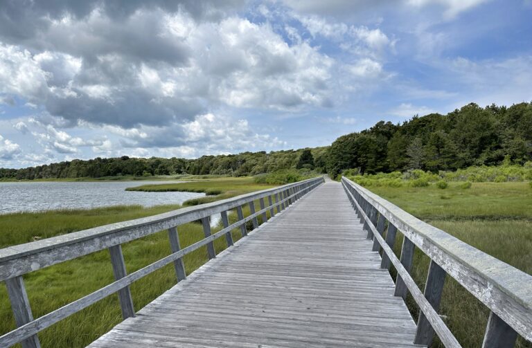 Hi Beg/Low Intermed, Doane Rock to Coast Guard Beach, 2 miles, Saturday