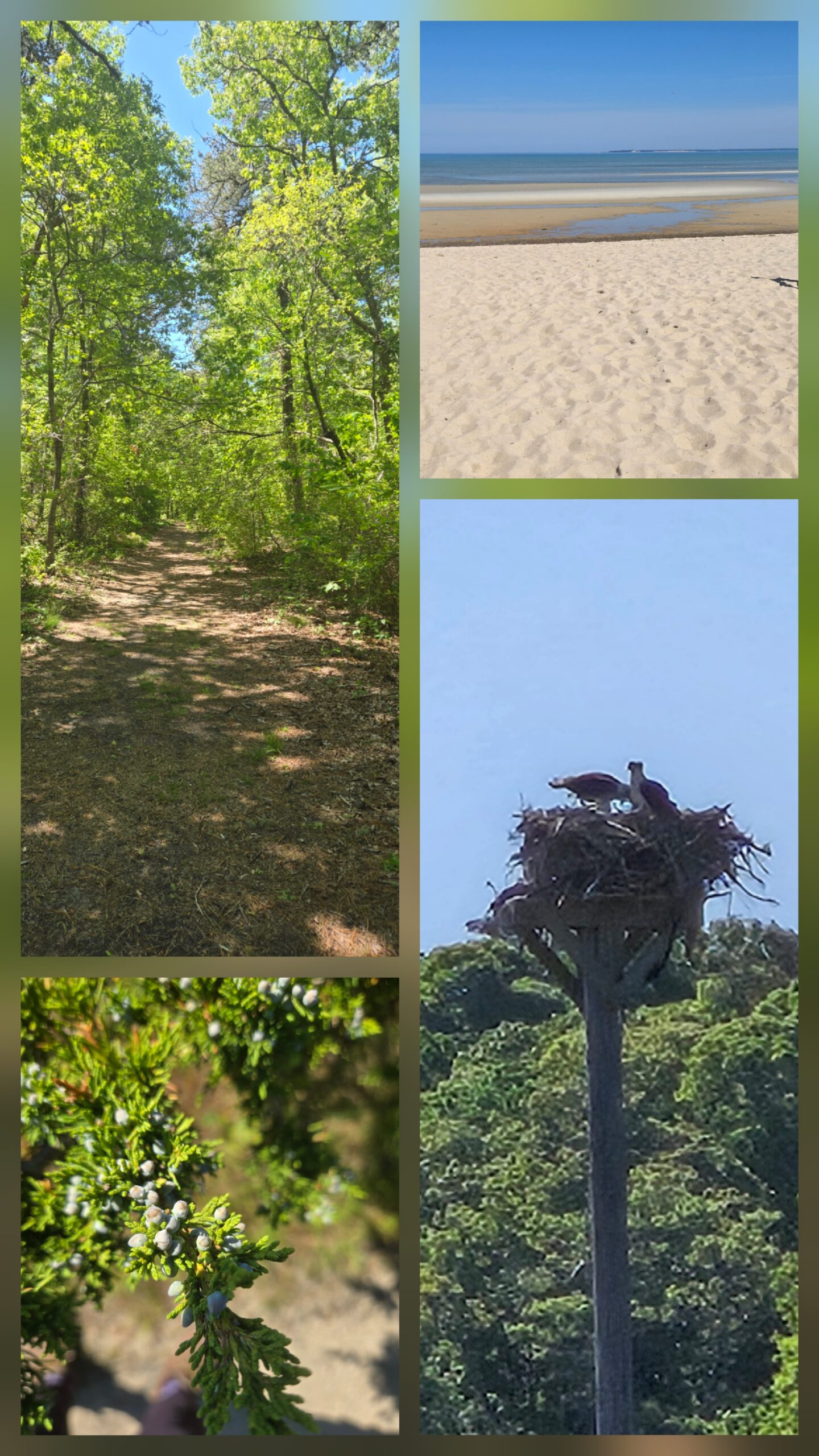 Intermediate, Spruce Hill, Brewster, 3.5 miles, Tuesday