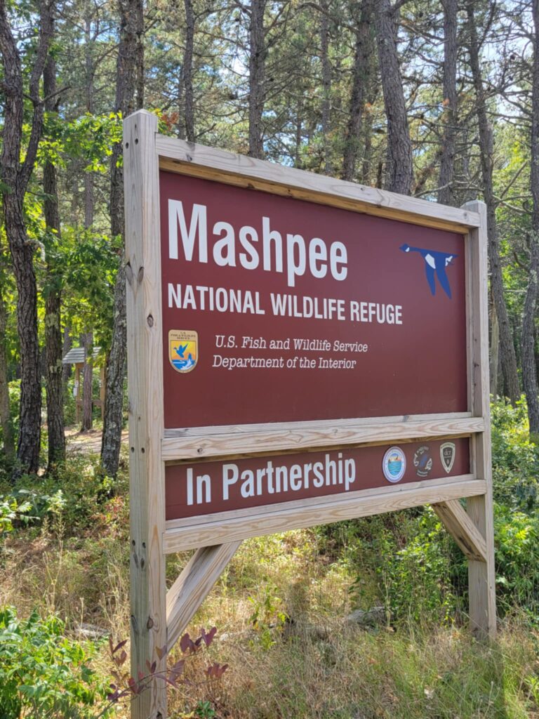 High Beginner/Low Intermediate Jehu Pond/Great Hay Trail, Mashpee, 3.1 miles, Tuesday