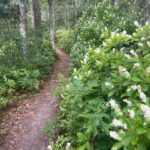 INTERMEDIATE, Bells Neck, Harwich, 4.0 miles, (Sunday)