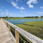 MARCH BIRTHDAY WALK, now open for all walkers. 😊 All Levels, Sandwich Boardwalk 2 miles, Sunday