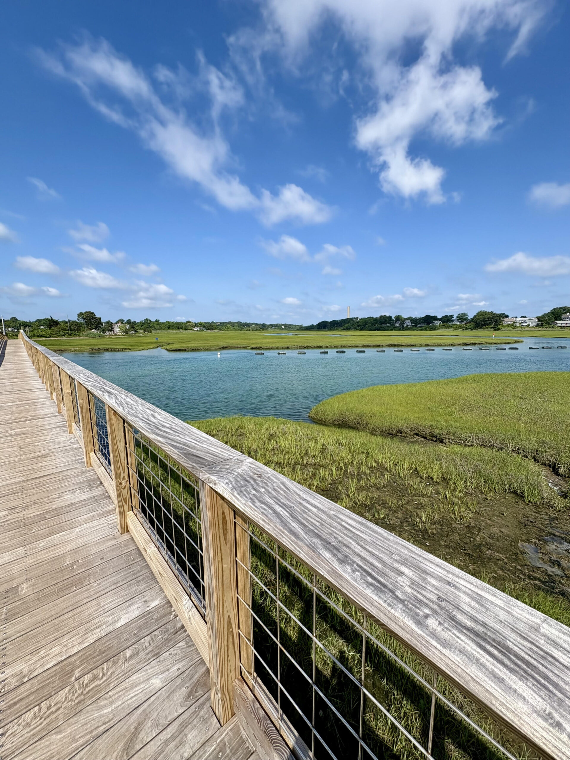 MARCH BIRTHDAY WALK, now open for all walkers. 😊 All Levels, Sandwich Boardwalk 2 miles, Sunday
