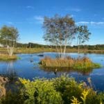 Beginner, Robert Smith Cold Brook Preserve, Harwich, .5 or 1miles Tuesday