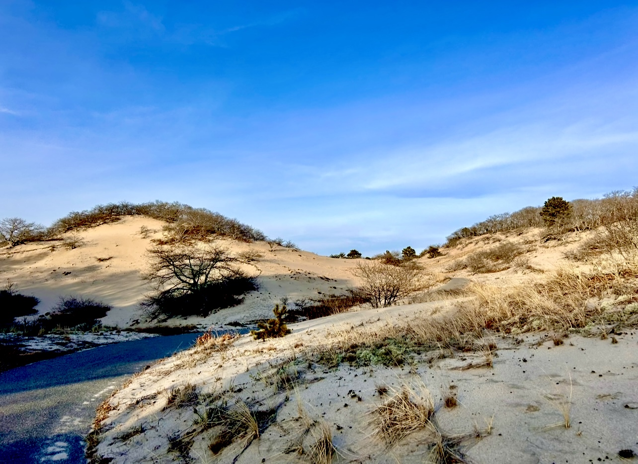 Advanced: Helltown, Snake Hills, and Wild Bogs, Provincetown, 5 miles, Friday