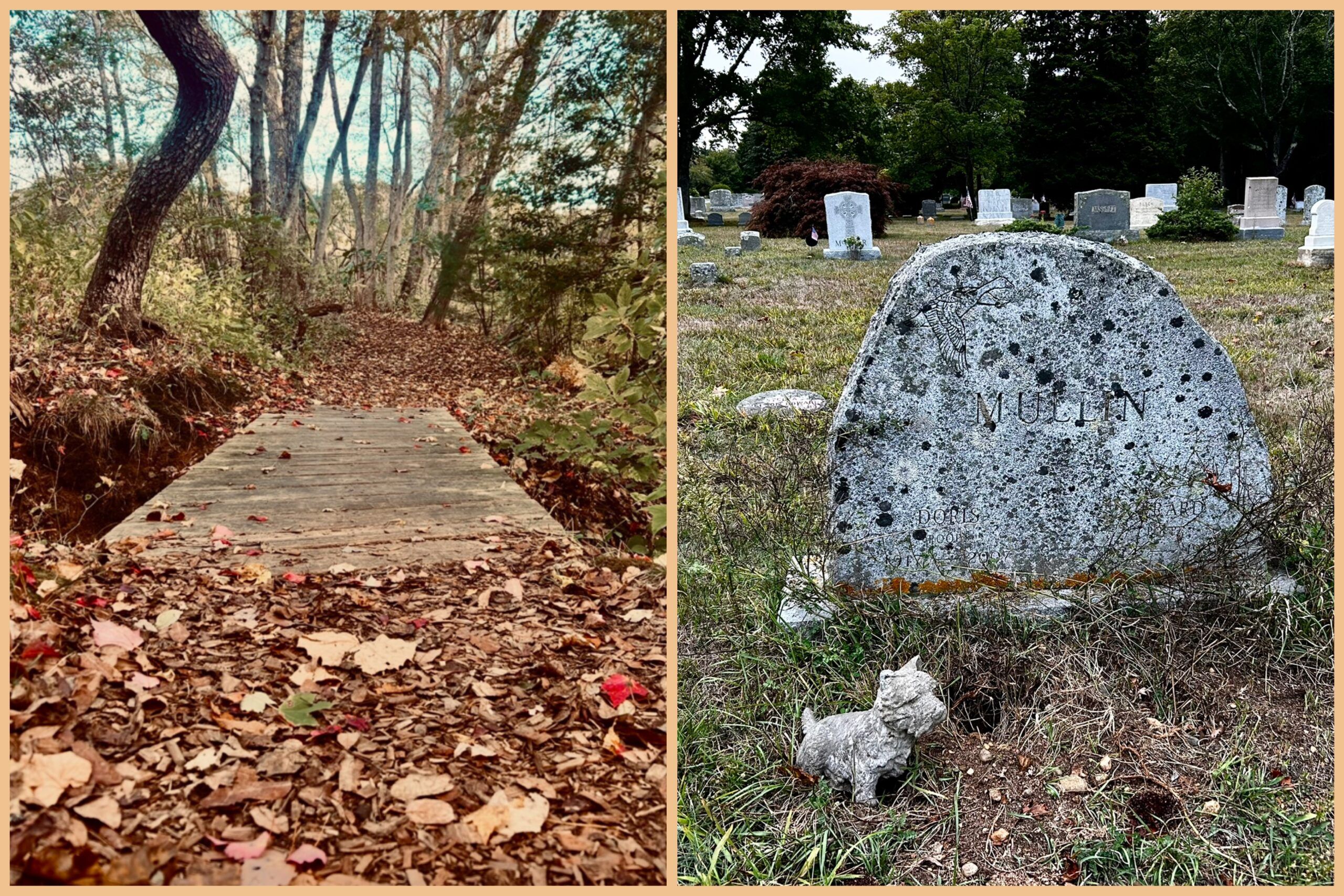 Intermed/Adv: Sea Captains’ Cemetery & Eddy Trails, Brewster, 3.3 miles (Thursday 10/16)