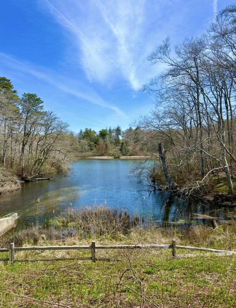 Cancelled, low booking. Upper Cape POP UP! All Levels: Cook’s Farm, Sandwich, ~1.7 miles (Thurs)