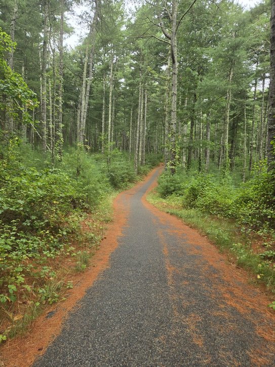 Intermediate, Nickerson State Park, Brewster 2.8-3.0 miles, Tuesday