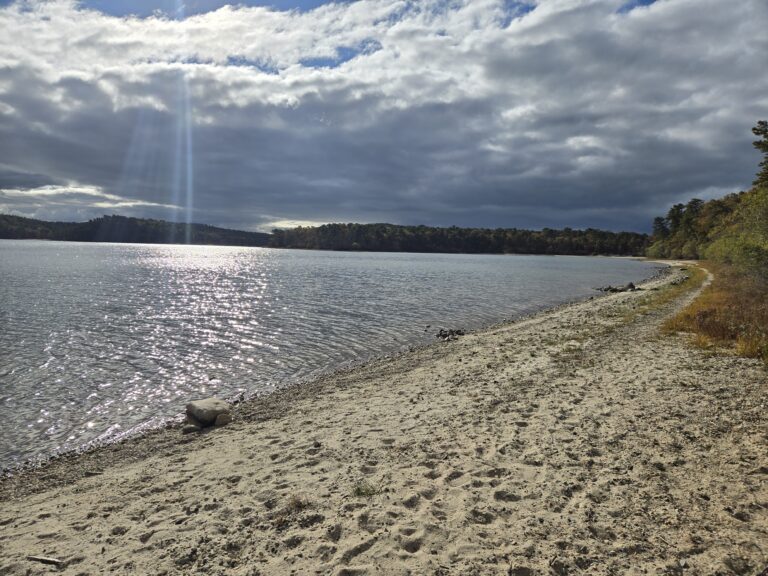 Pop Up! Intermediate, Big Cliff Pond, Nickerson State Park, Brewster 3.1 miles. (Sunday)