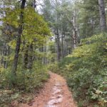 Intermediate/Advanced, Baker's Pond to Little Cliff Pond, Orleans, 4.8 miles, Monday