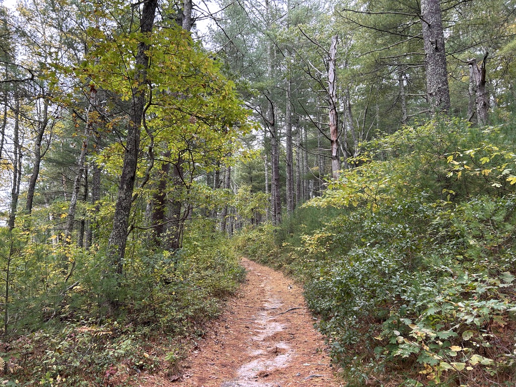 Intermediate/Advanced, Baker's Pond to Little Cliff Pond, Orleans, 4.8 miles, Monday