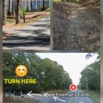 Intermediate/Advanced, Nickerson State Park, Brewster, 4.1 miles, Monday