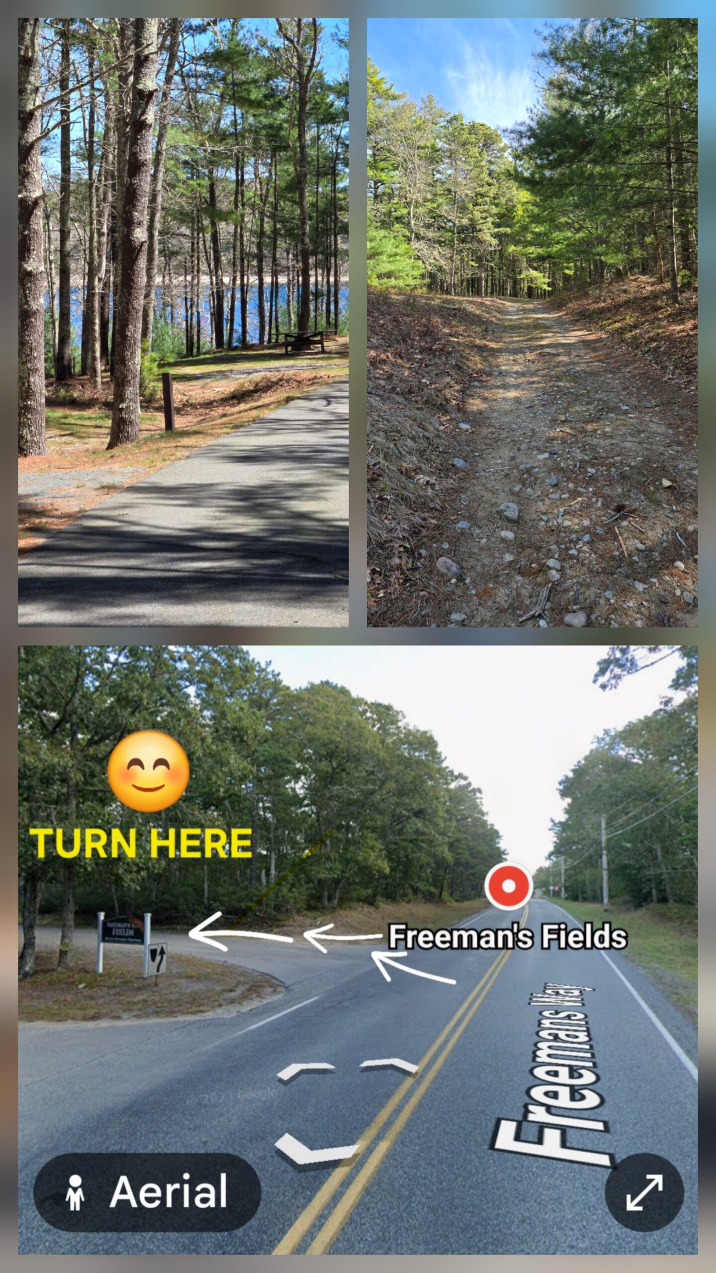 Intermediate/Advanced, Nickerson State Park, Brewster, 4.1 miles, Monday