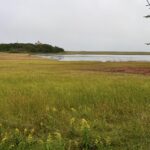 High Beginner/Low Intermediate, Doane Rock to Coast Guard Beach, Eastham, 1.5 miles, Friday