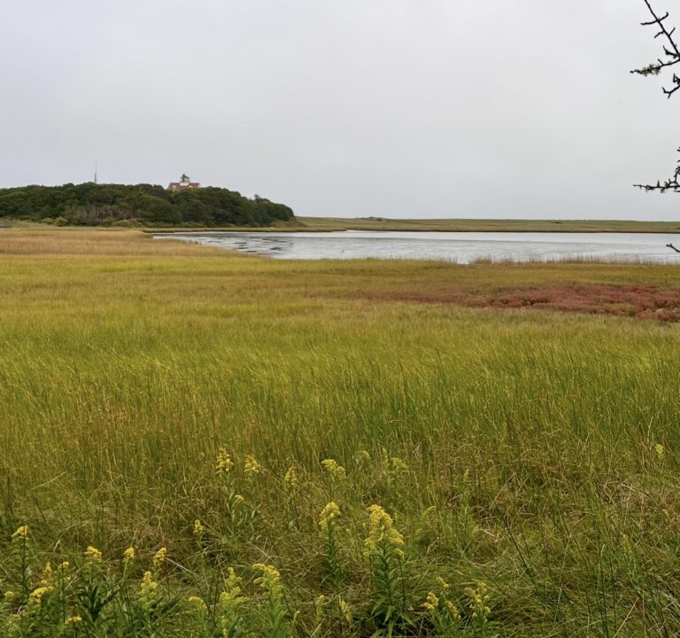 High Beginner/Low Intermediate, Doane Rock to Coast Guard Beach, Eastham, 1.75 miles, Saturday