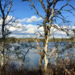 Advanced, Punkhorn Panorama: Seymour Pond, Quaking Bog & Eagle Point, Brewster, 4 miles, Saturday