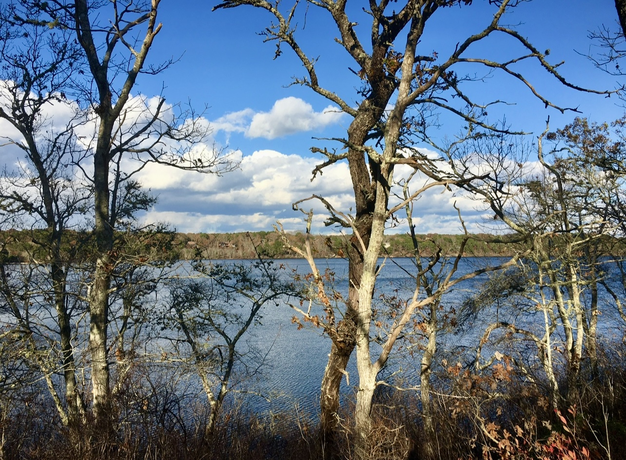 Advanced, Punkhorn Panorama: Seymour Pond, Quaking Bog & Eagle Point, Brewster, 4 miles, Saturday