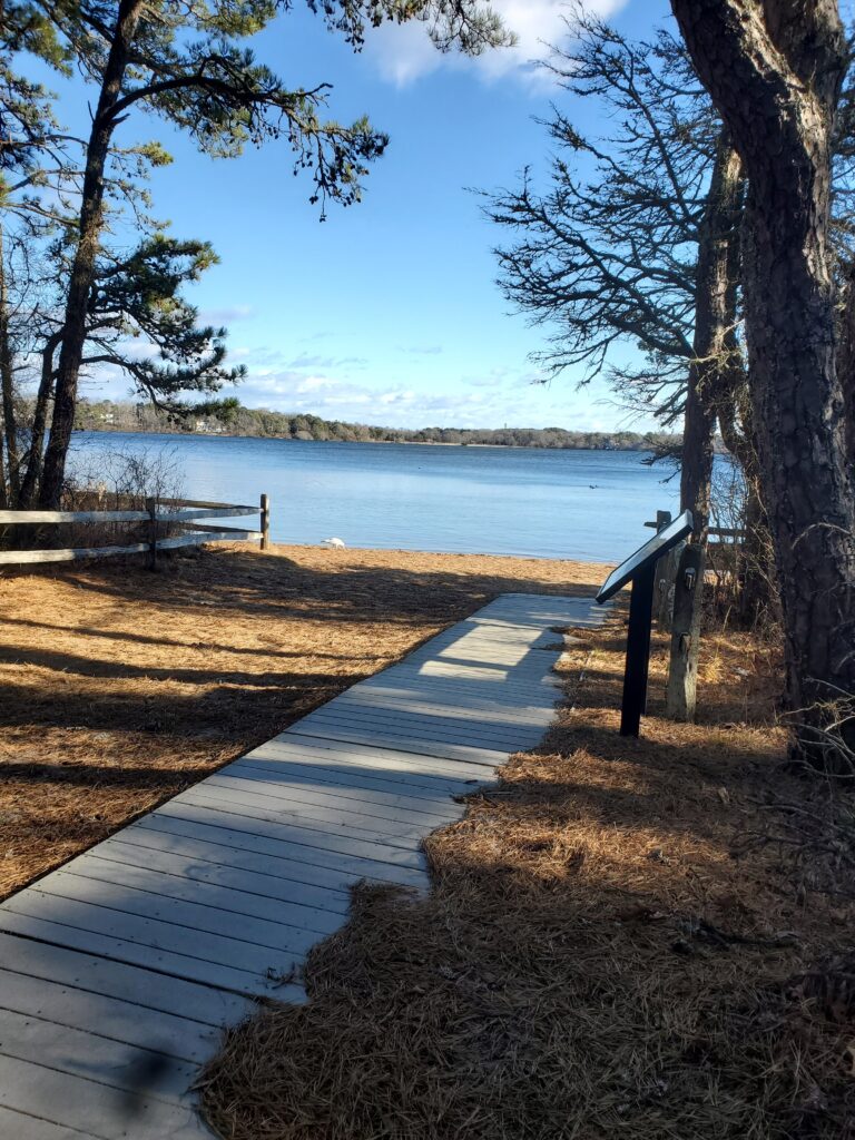 High Beginner/Low Intermediate, Wiley Park Eastham, 2.25 miles, Saturday