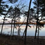 Intermediate/Advanced, Wellfleet Hills and Ponds from Gull Pond Landing, Wellfleet, 4 miles, Wednesday