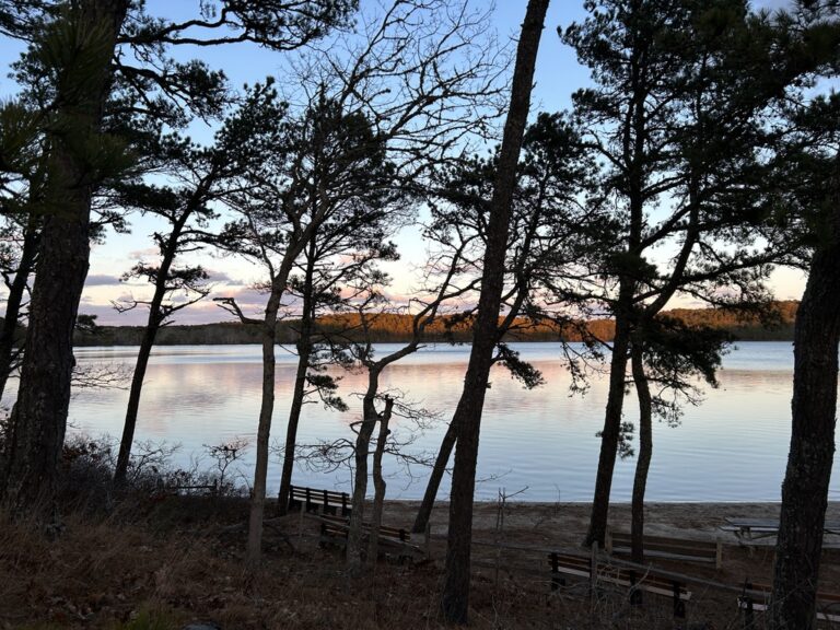 Intermediate/Advanced, Wellfleet Hills and Ponds from Gull Pond Landing, Wellfleet, 4 miles, Wednesday