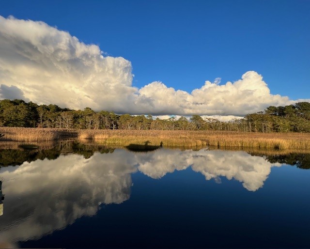 INTERMEDIATE, Bells Neck, Harwich, 3.5 miles, (Friday)