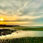 All Levels: Tide Flats Walk & Yankee Book Swap, Spruce Hill, Brewster, 2-3 miles, Monday