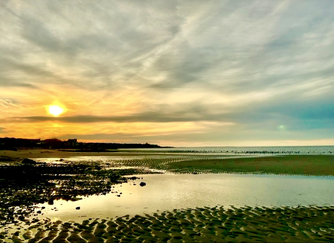 All Levels: Tide Flats Walk & Yankee Book Swap, Spruce Hill, Brewster, 2-3 miles, Monday