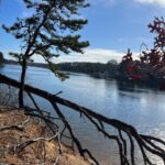 Intermediate. Indian Lands. Dennis. 3 miles. Friday.