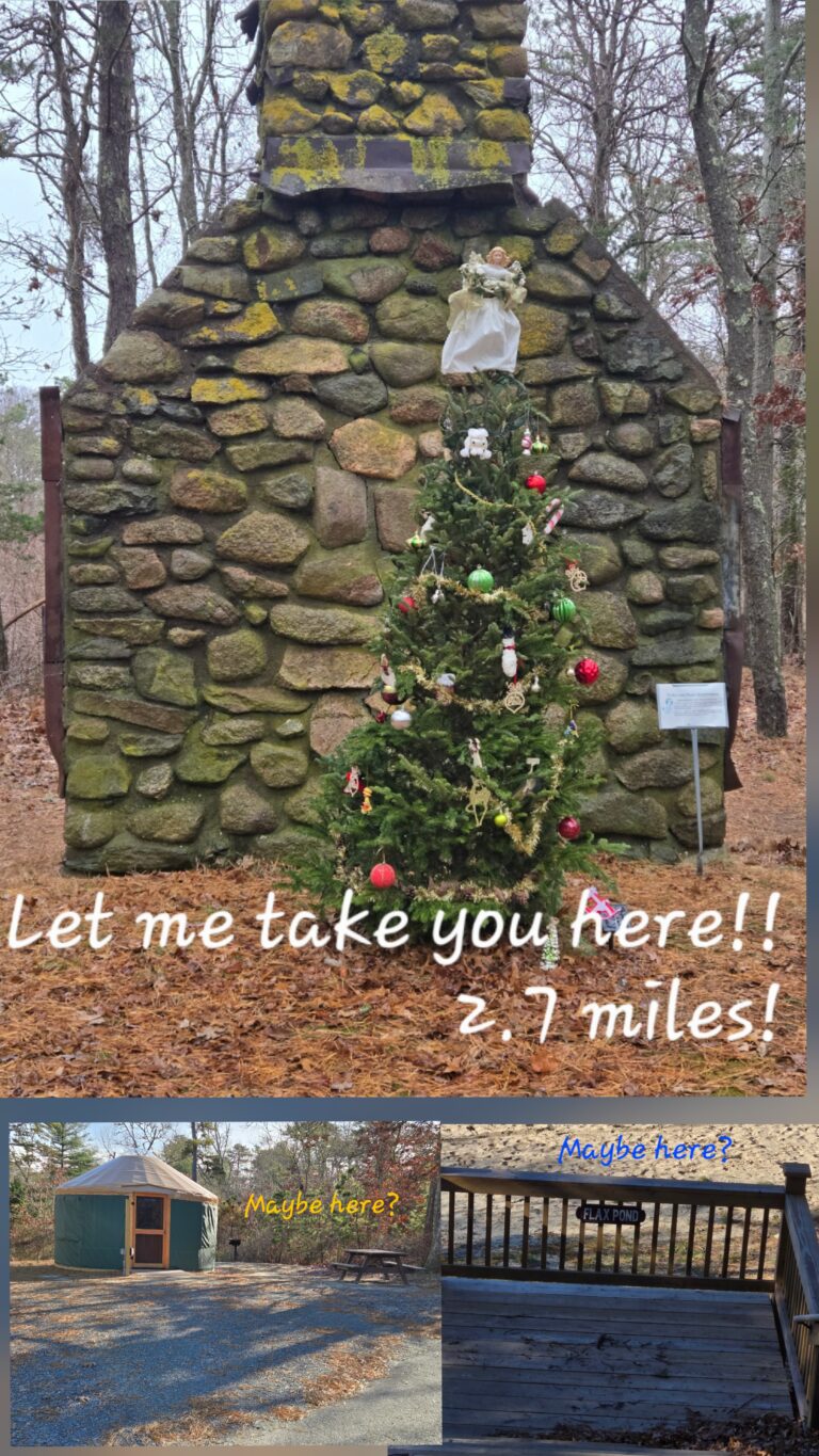 Intermediate, Nickerson State Park, Brewster. 2.7 or 4.2 miles. Monday