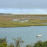 High beginner/low intermed, Fort Hill Eastham, 1.8 miles, Tuesday