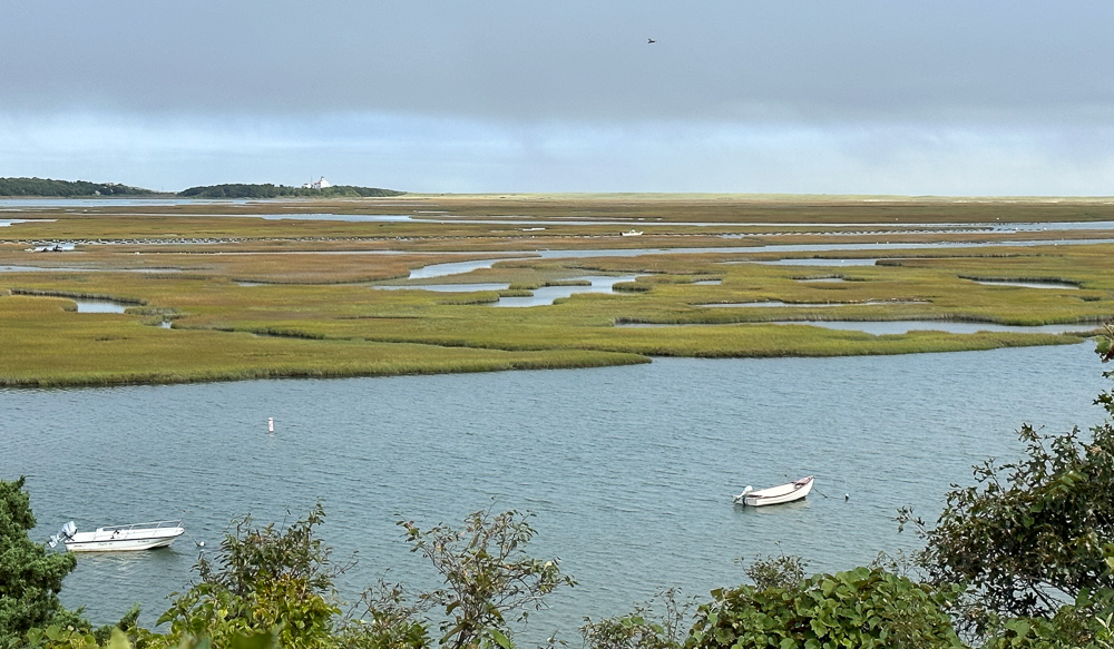 High beginner/low intermed, Fort Hill Eastham, 1.8 miles, Tuesday