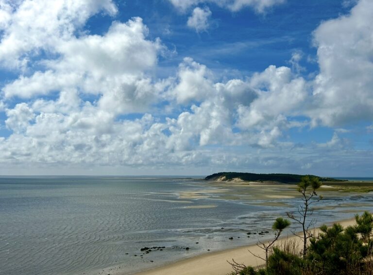 Intermediate/Advanced: Great Island Trail, Wellfleet, ~4 miles, Sunday