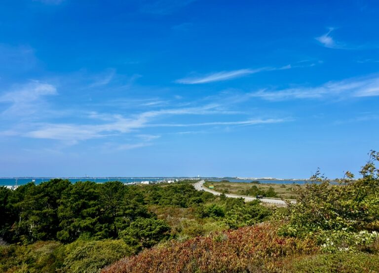 Hi Beginner/Lo Intermediate: Beach Point + High Head Conservation Area, North Truro,  2 or 3.5 miles, Thursday