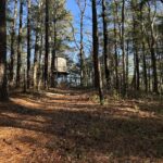 Intermediate/Advanced, Cliff Pond-Higgins Pond, Brewster, 4.2 miles, Monday