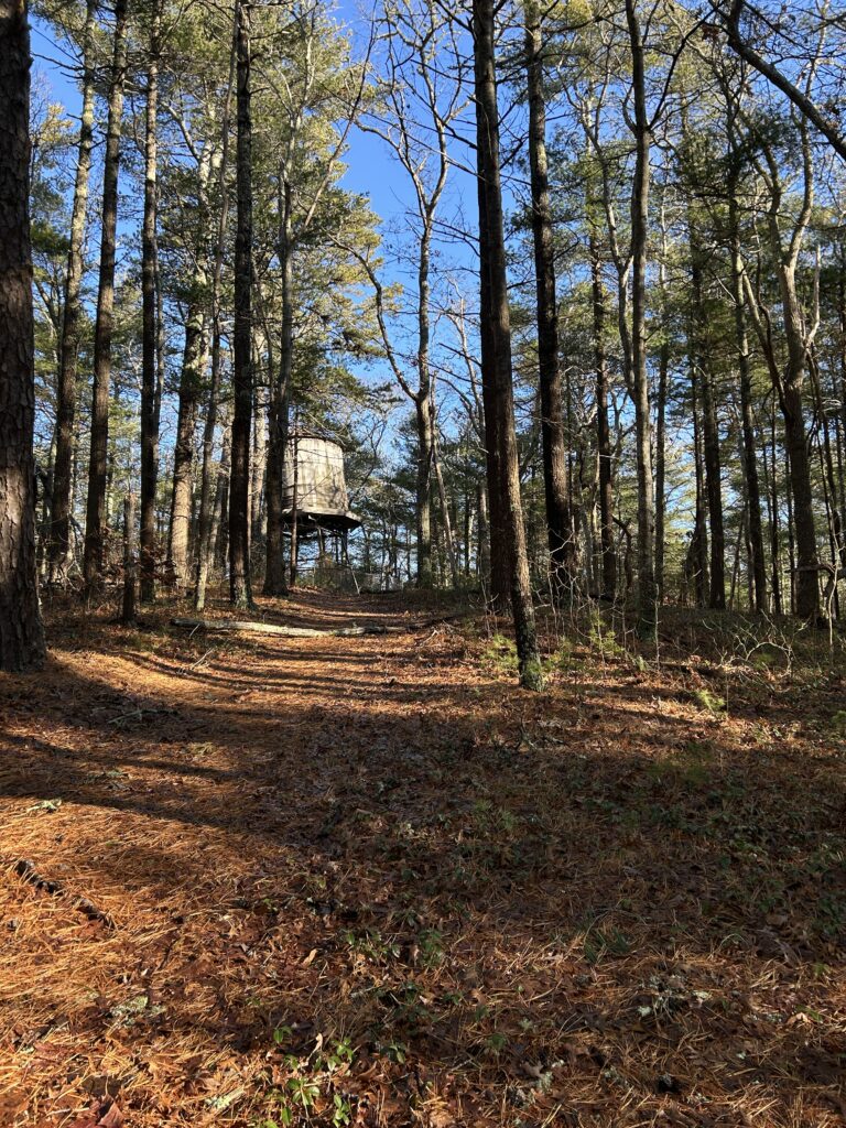 Intermediate/Advanced, Cliff Pond-Higgins Pond, Brewster, 4.2 miles, Monday