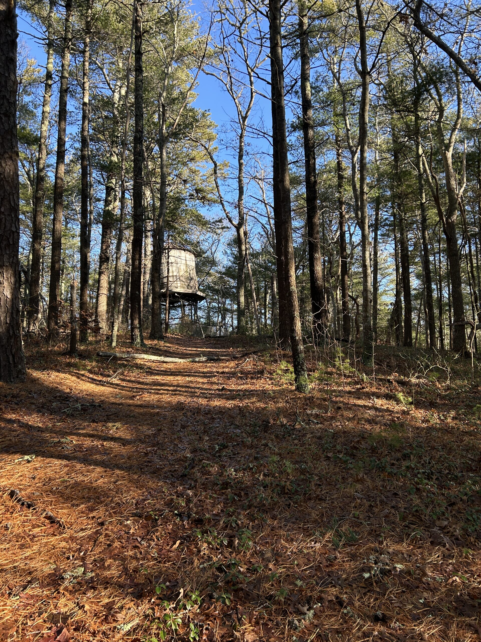 Intermediate/Advanced, Cliff Pond-Higgins Pond, Brewster, 4.2 miles, Monday
