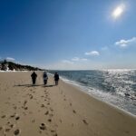 POP UP! Hi Beg/Lo Intermed: Late Day on the Bay, Great Hollow Beach > Pamet Harbor, Truro, ~3 miles, Tuesday