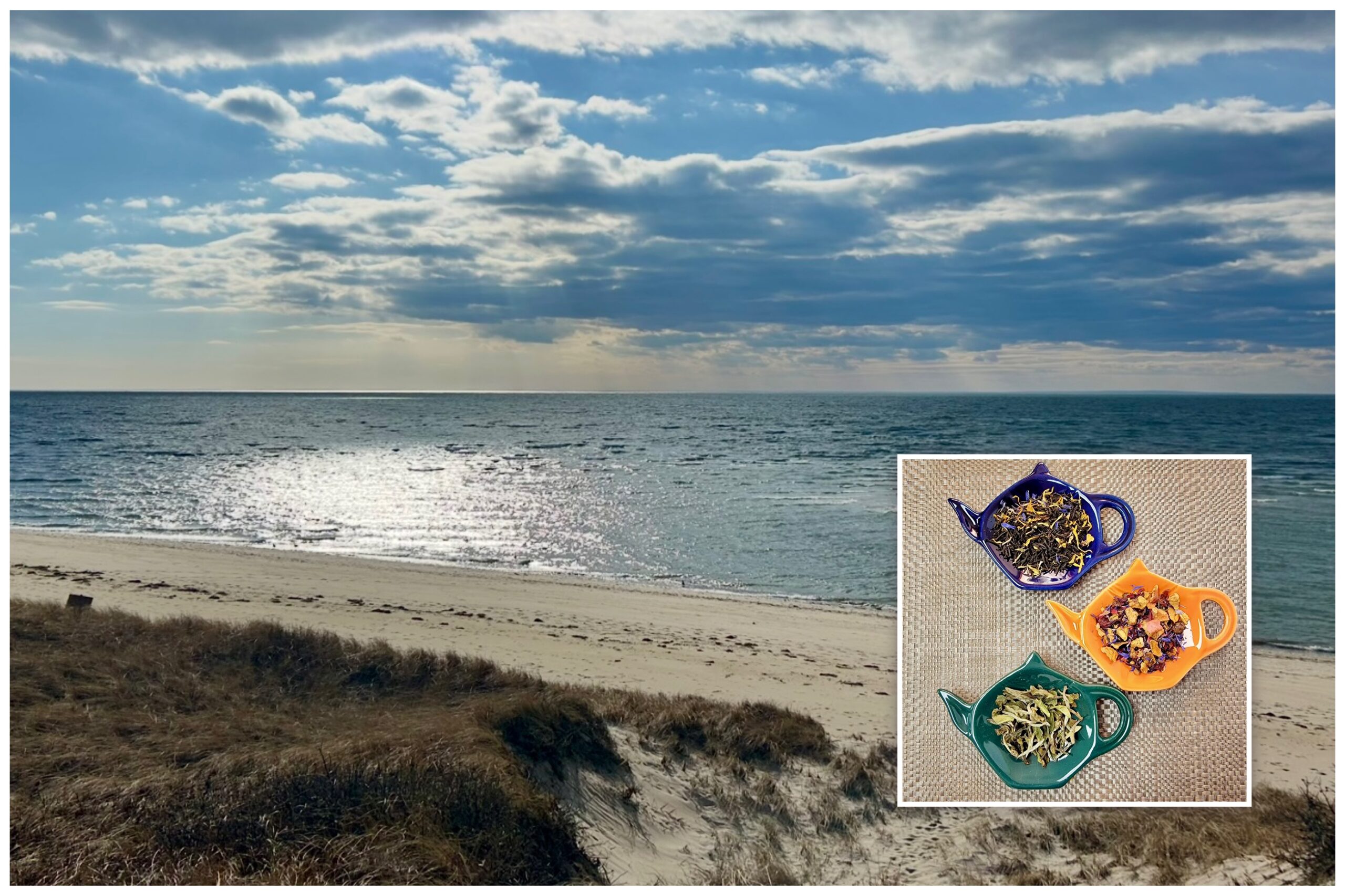 Hi Beg/Lo Intermed: Traipsing + Tea Tasting, Cold Storage Beach, North Truro, ~2.5 miles Wednesday