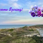 All Levels: Hello Spring! Poles & Pansies @ Marconi-Atlantic White Cedar Swamp, Wellfleet, 1.5-2 miles, Friday