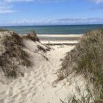 Intermediate, Duck Harbor - Bound Brook, Wellfleet, 4 miles (Tuesday)