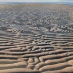 High Beginner, Linnell Landing to Namskaket Creek, Brewster, 2.0 miles,Tuesday