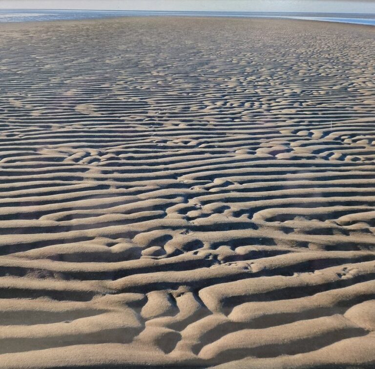 High Beginner, Linnell Landing to Namskaket Creek, Brewster, 2.0 miles,Tuesday