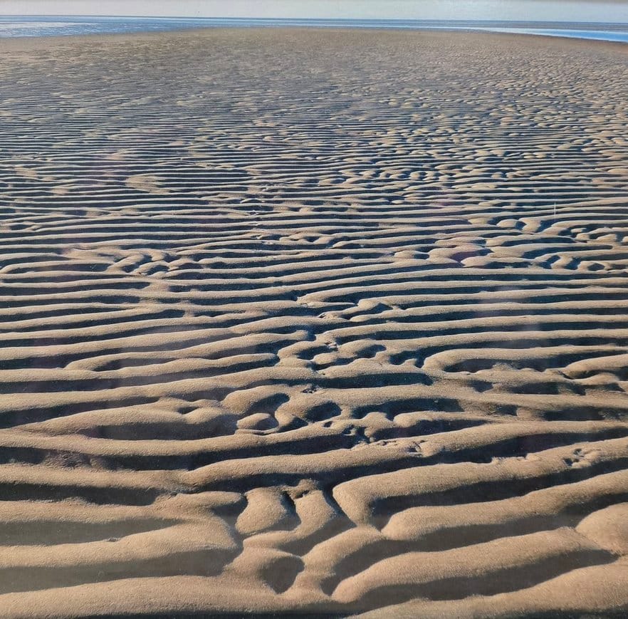 High Beginner, Linnell Landing to Namskaket Creek, Brewster, 2.0 miles,Tuesday