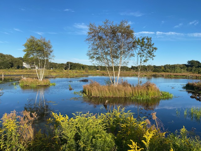Beginner - Robert Smith Cold Brook; .5 or 1 miles   Friday
